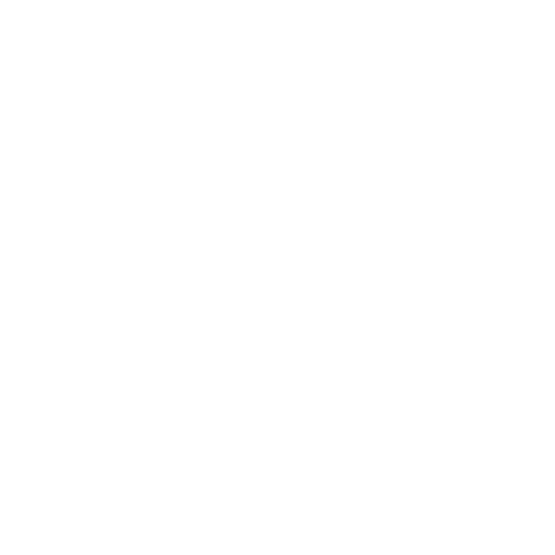 Wok N Roll